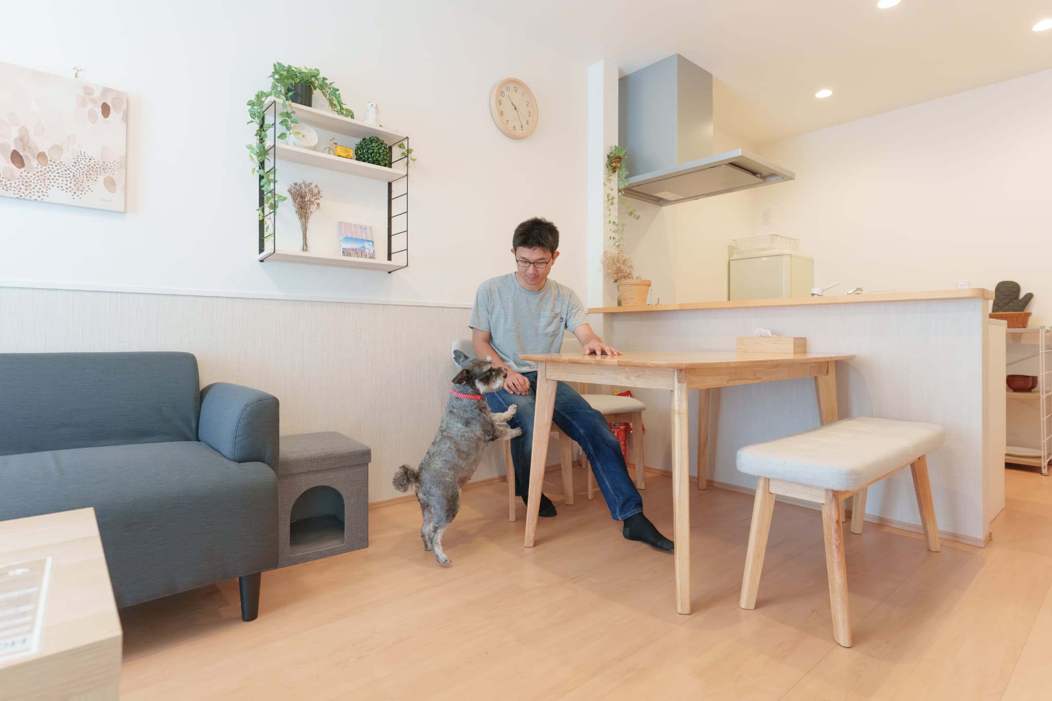 Pet Cottage Suzu hero image 1