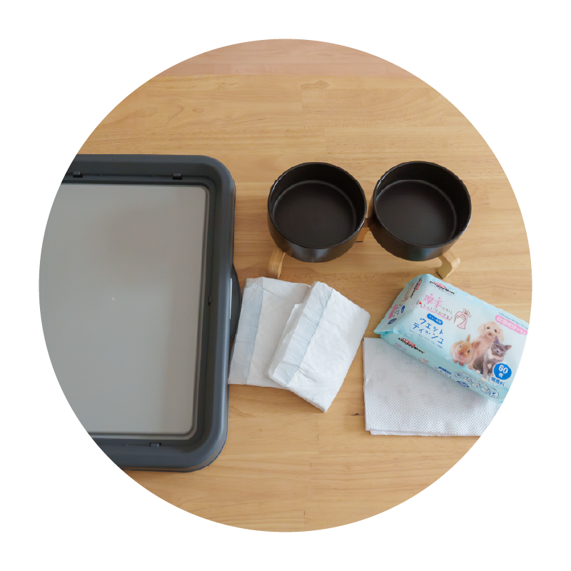 愛犬との滞在イメージ