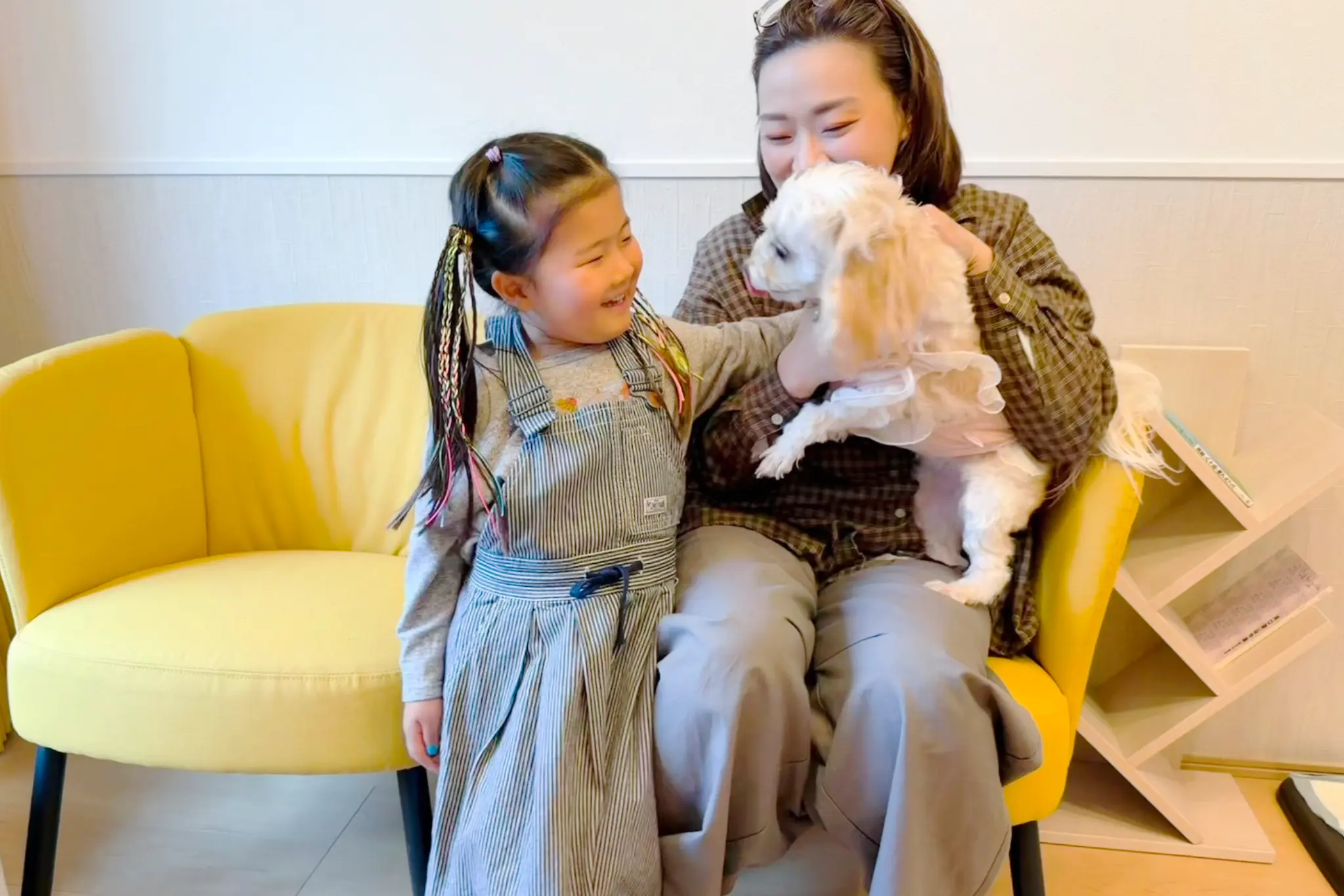 Pet Cottage Suzu hero image 2