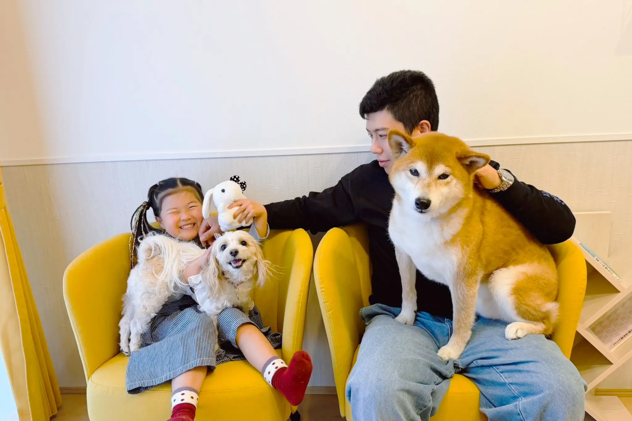 愛犬と楽しむSuzuの滞在